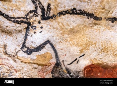 Lascaux cave hi-res stock photography and images - Alamy