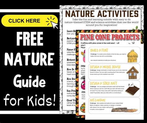 Nature Summer Camp Activities - Little Bins for Little Hands