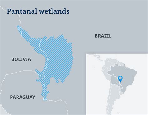 Pantanal Wetland: Brazilian scientists warn that the Pantanal is at risk of collapse -ForumIAS Blog