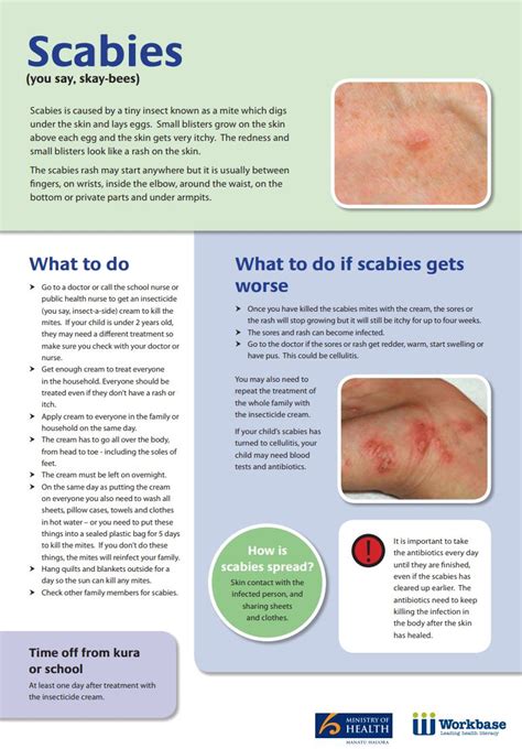 Scabies Rash