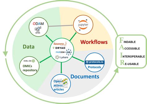 Dataset example - ODAM