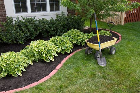 What is Mulching? The Pros and Cons of Organic Mulching - Para Space