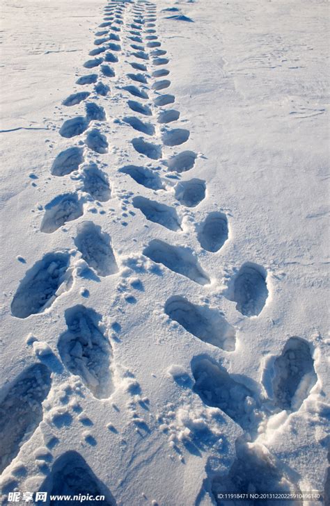 冬天雪地脚印摄影图__自然风景_自然景观_摄影图库_昵图网nipic.com