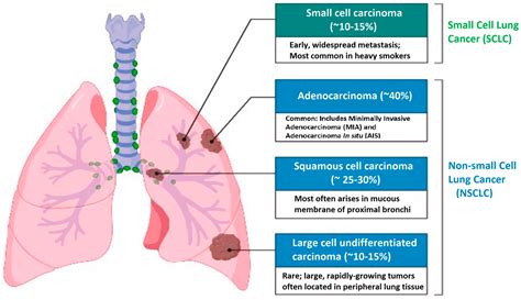 Non Small Cell Adenocarcinoma