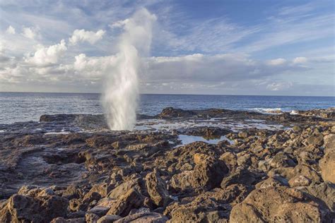 Hawaii's Famous Lava Tubes: The Complete Guide