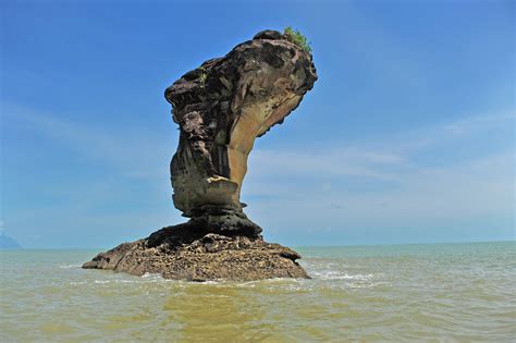 Bako National Park Day Tour | Wildlife Tours - Outback Venture Sdn Bhd