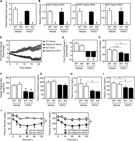 FGF21 Regulates Metabolism Through Adipose-Dependent and -Independent Mechanisms: Cell Metabolism