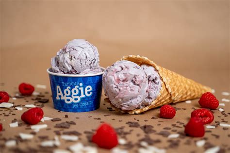 Aggie Ice Cream | USU