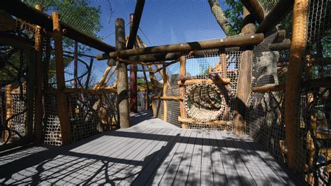 Saint Louis Zoo's new primate exhibit is like a treehouse for all | ksdk.com