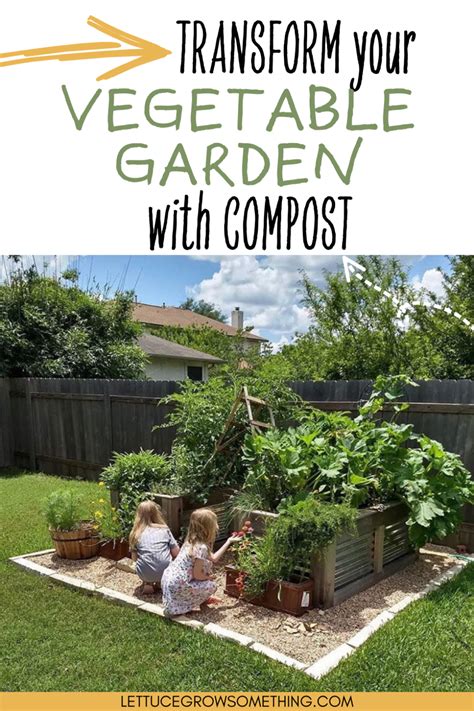 Transform Your Vegetable Garden with Compost: A Beginner's Guide ...