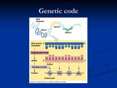 PPT - Molecular Basis of Genetics and Biotechnology PowerPoint ...