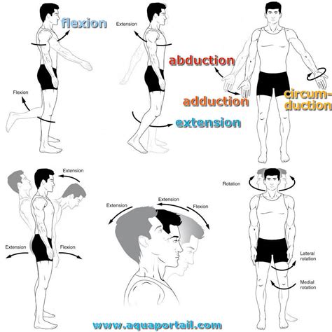 Abduction : définition et explications