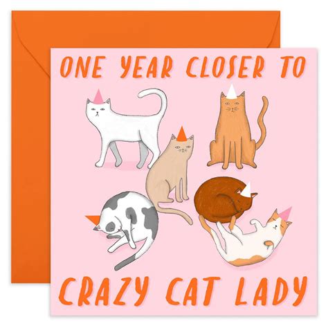 Crazy Cat Lady Birthday Card | Central 23 – Outer Layer