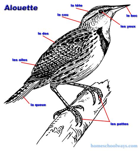 French Friday, Alouette - Homeschool WaysHomeschool Ways