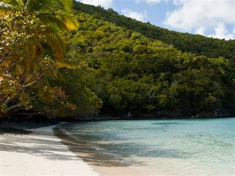 Maho_beach_thumb - St John Beach Guide | St John Beach Guide