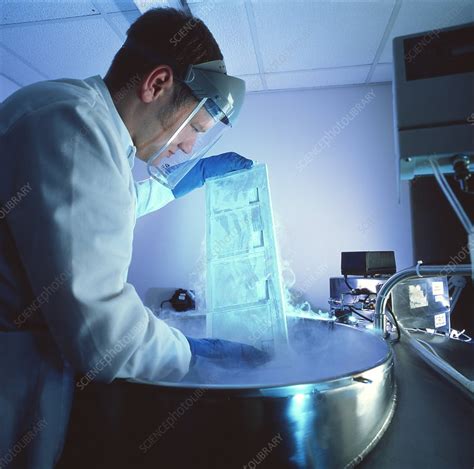 Umbilical cord blood storage - Stock Image - M532/0605 - Science Photo ...