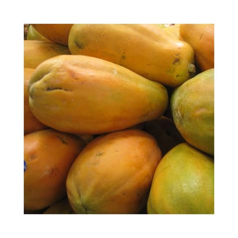 Buy Papaya ,Papita Hybrid Seeds Online at Lowest Price