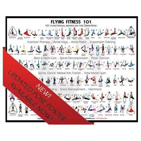 Omni Yoga Swing Pose Poster – Yoga Swings, Trapeze & Stands Since 2001