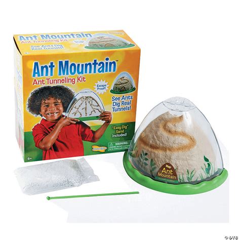 Ant Mountain Kit | Oriental Trading