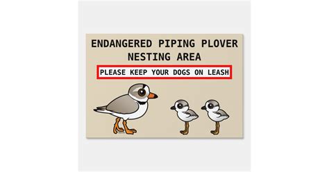 Piping Plover Nesting Sign | Zazzle