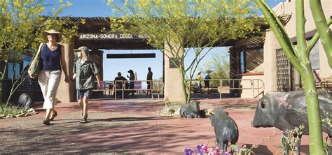 Tucson: An Oasis In The Sonoran Desert | Places.Travel