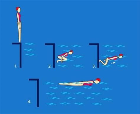 Swimming Strokes Vector Art, Icons, and Graphics for Free Download