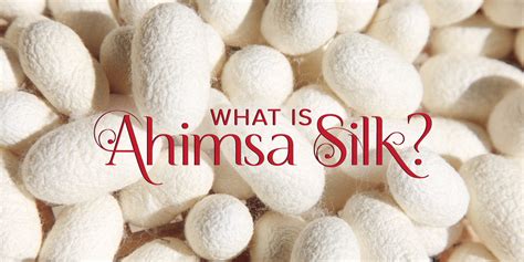 What Is Ahimsa Silk? – Cultural Elements