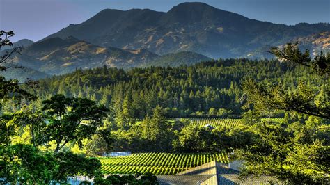 napa valley hills - Andretti Winery