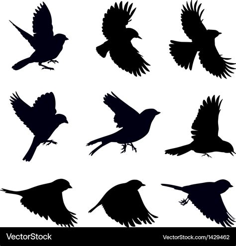 Silhouettes of birds Royalty Free Vector Image