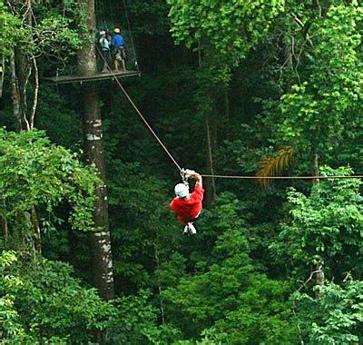 Costa Rican Rainforest Ziplining