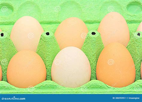 Carton of organic eggs stock image. Image of eggs, container - 38695951