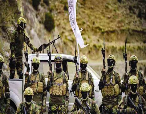 Badri 313: The Taliban's special operations unit