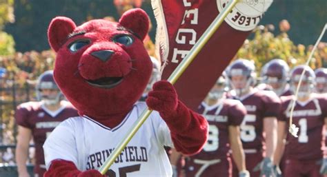 Springfield College mascot, 'Spirit,' hit by dining hall worker, school ...