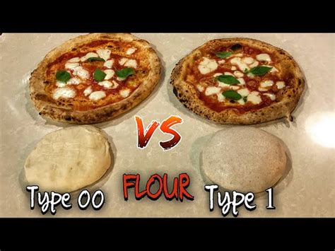 Neapolitan Pizza Dough Recipe 00 Flour | Besto Blog