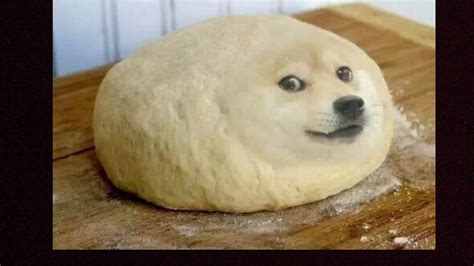 Funny Meme Doge - Funny PNG