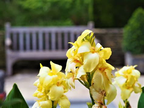 Leuven Botanical Garden