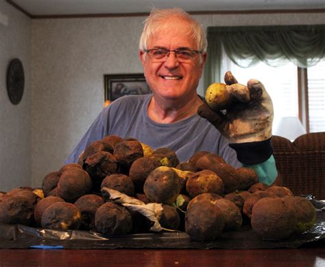 Harvesting Black Walnuts | The Camerist's Collection