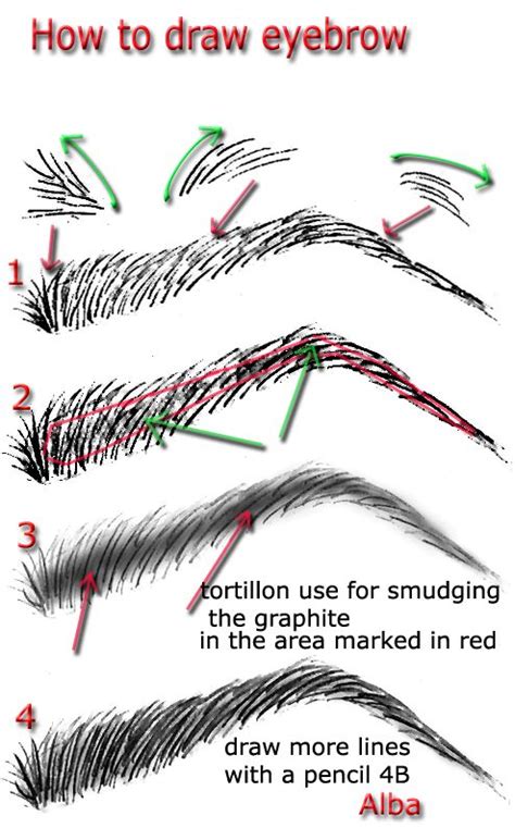 How To Draw Eyebrows Step By Step With Pencil - EyebrowShaper