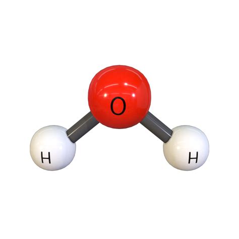 Water Molecule Model