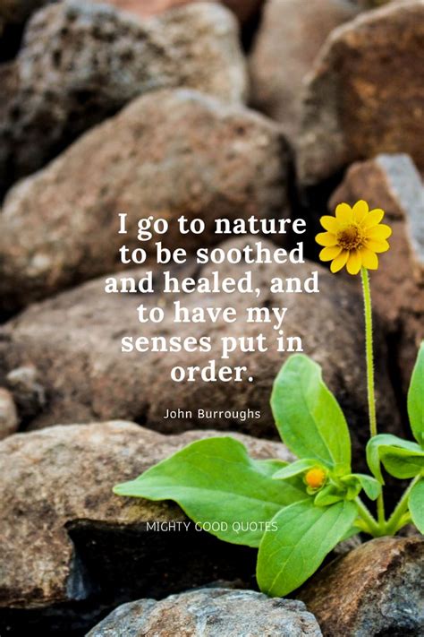 To be soothed and healed | Nature quotes beautiful, Nature quotes, Thankful quotes life