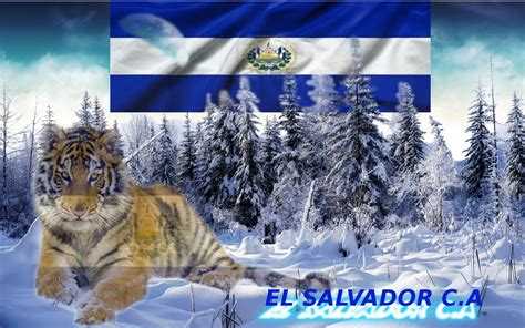 🔥 [140+] El Salvador Wallpapers | WallpaperSafari