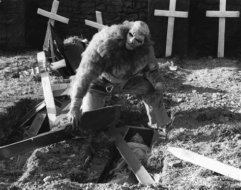 Frankenstein and the Monster from Hell (1974) | Galerie - Z filmu | ČSFD.cz
