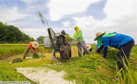 Presyo ng pagkain pabababain ng insentibo sa sektor ng agrikultura — Salceda - Abante TNT