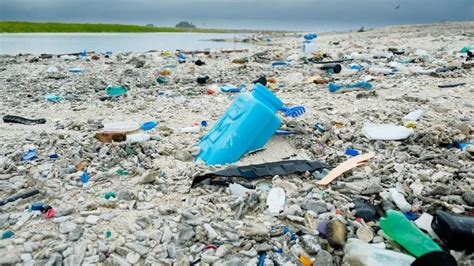 Why tracking the movement of plastic litter in the oceans is crucial – Euractiv