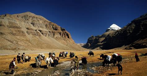 Mount Kailash Yatra - Snow Leopard Trek