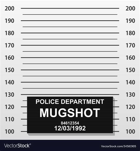 Criminal mug shot line police mugshot add a photo Vector Image