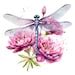 Watercolor Dragonfly Clipart, Dragonfly Drawing, Clipart Bundle ...