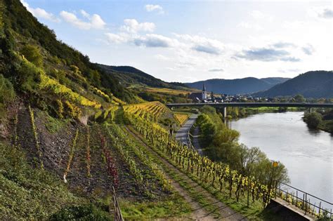 An Insider's Guide to a World-Famous German Wine Region | Wine Enthusiast