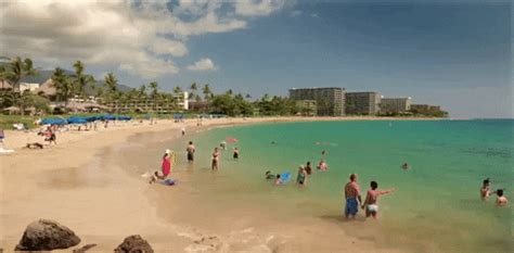 Hawaii GIF - Find & Share on GIPHY