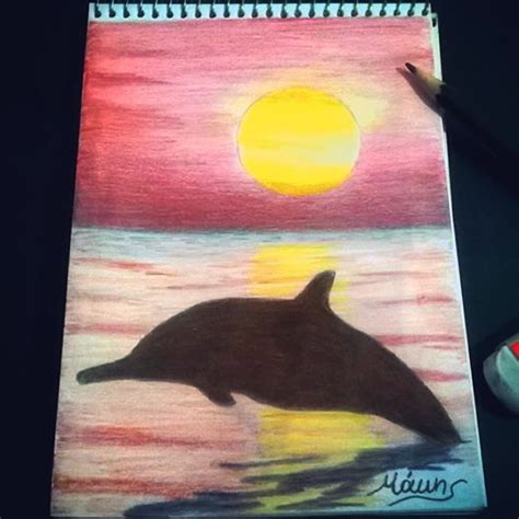 Daily Drawings - Dolphin on sunset